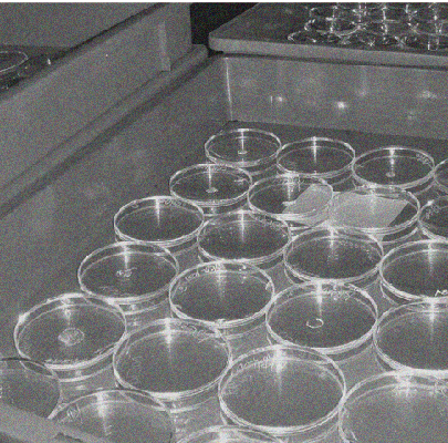 {$vo.<basefont></basefont>description